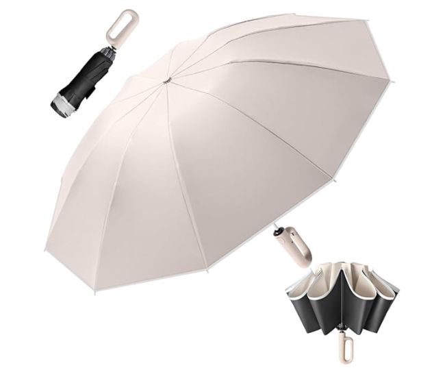 मानसून सीजन के लिए एकदम परफेक्ट रहेंगे ये Best Umbrella कीमत मात्र 1000